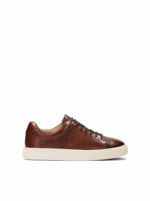 Kazar Feliks Sneakers Herr Bruna Vita | 785WESLGK