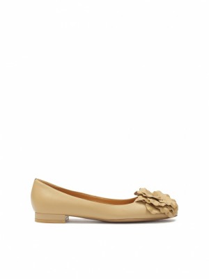 Kazar Liwia Klackar Dam Beige Blommiga | 846EAQIDZ