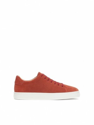 Kazar Rajon Sneakers Herr Vita | 531WIMBGX