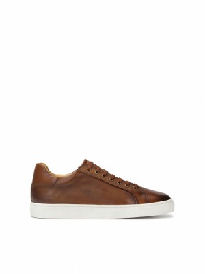 Kazar Sorren Sneakers Herr Bruna Vita | 634YAPCTU