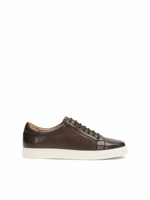Kazar Tiggus Sneakers Herr Bruna | 413NOLYPQ